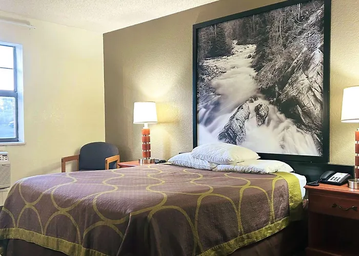 Super 8 By Wyndham Colorado Springs/Afa Area
